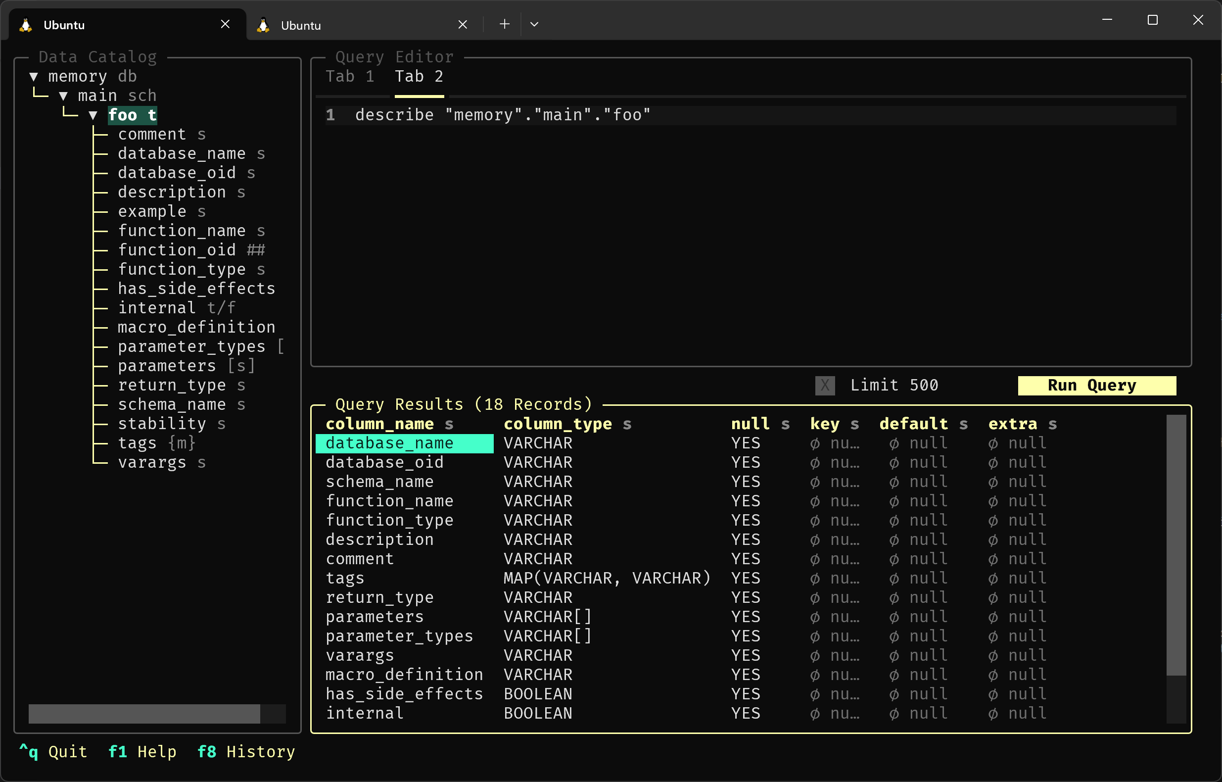 A screenshot of Harlequin with the describe query executed.